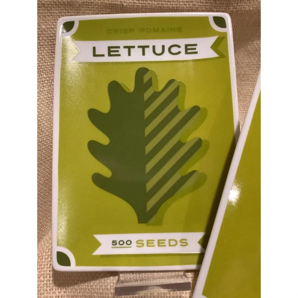 CRATE & BARREL 2 5x7 small appetizer summer garden seed plates lettuce squash